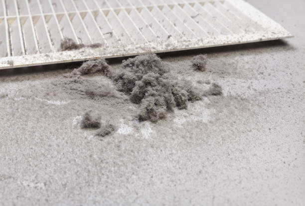 Best Dryer Vent Cleaning Services  in Lyles, TN