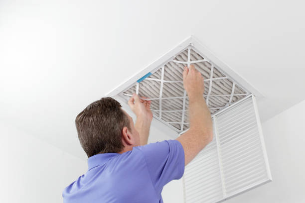 Best HVAC System Cleaning  in Lyles, TN